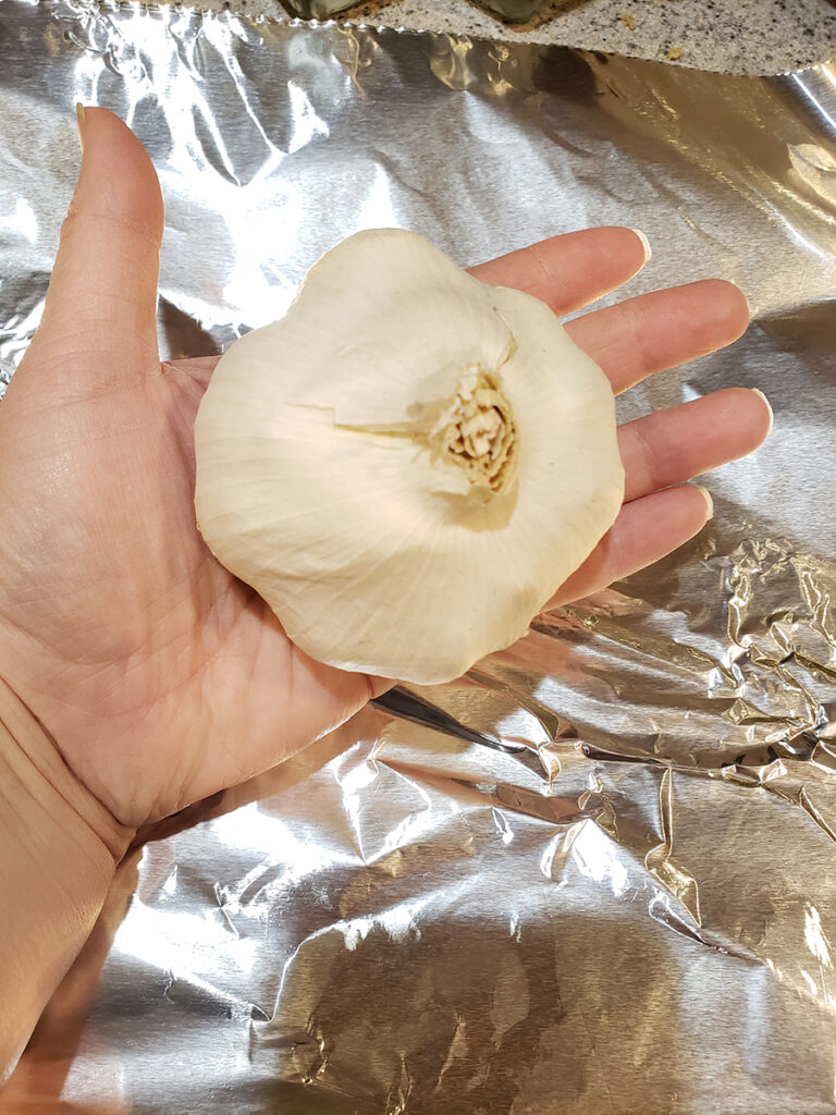 Huge head of garlic in hand with aluminum foil in background